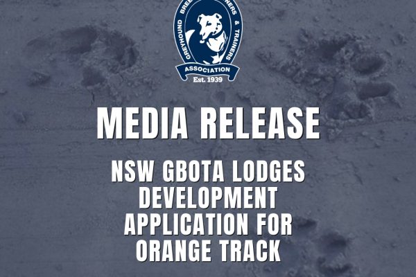 GBOTA Network Social Tiles