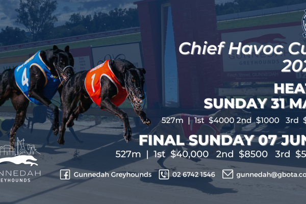 Gunnedah Covers