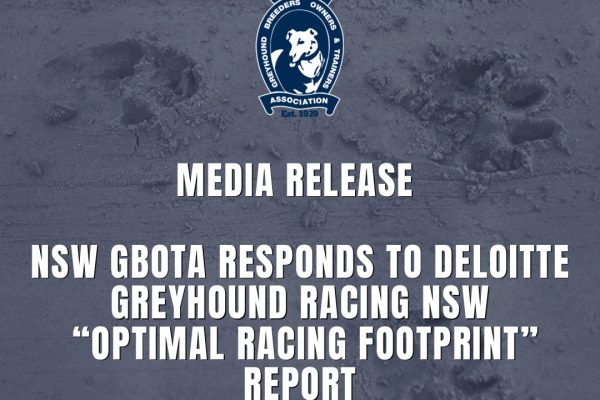 Social Tiles (Instagram Post)