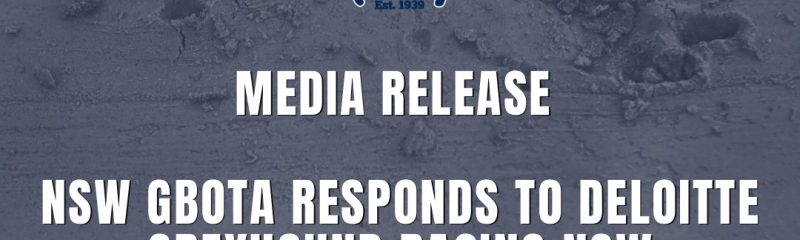 Social Tiles (Instagram Post) Social Tiles (Instagram Post)