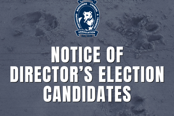 Social Tiles (Instagram Post) (2)