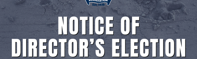 Social Tiles (Instagram Post) (2)