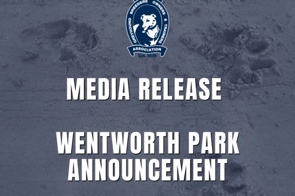 Social Tiles (Instagram Post)