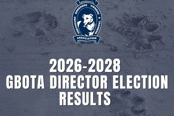 2026-2028 NSW GBOTA Director Election Results