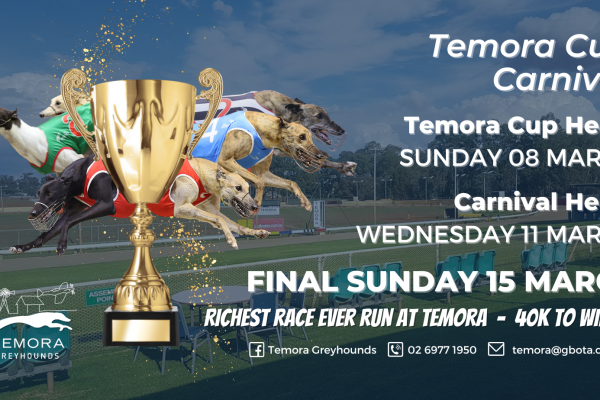 Temora Facebook Covers