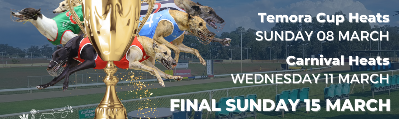 Temora Facebook Covers