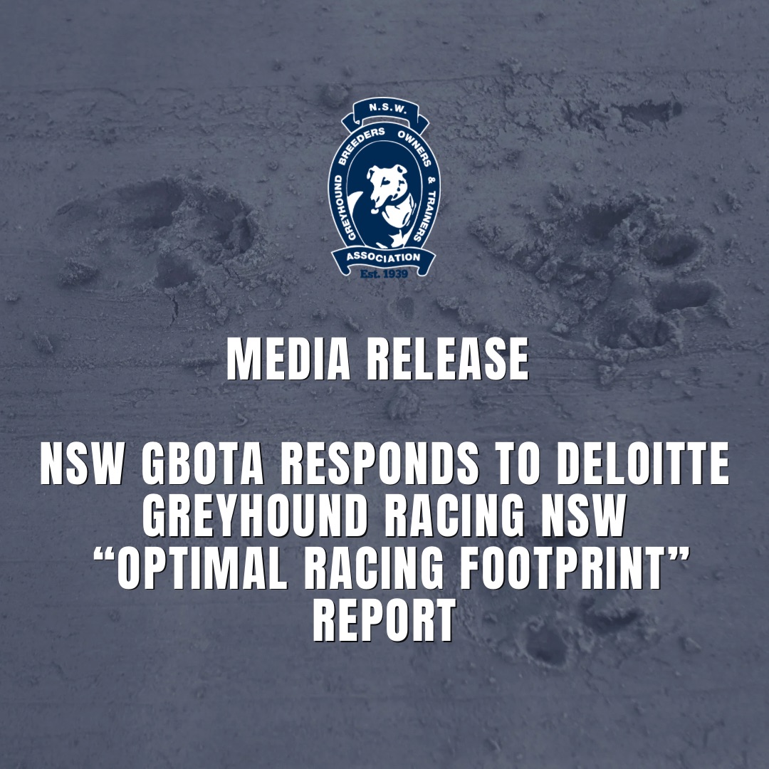 Social Tiles (Instagram Post) Social Tiles (Instagram Post)