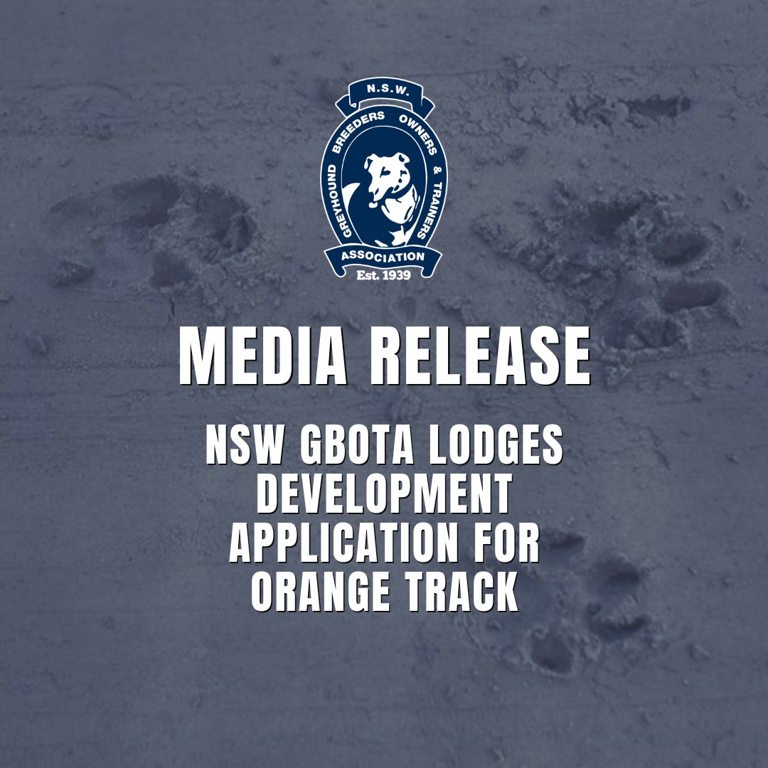 GBOTA Network Social Tiles