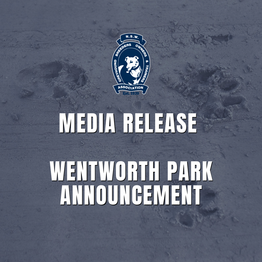 Social Tiles (Instagram Post)