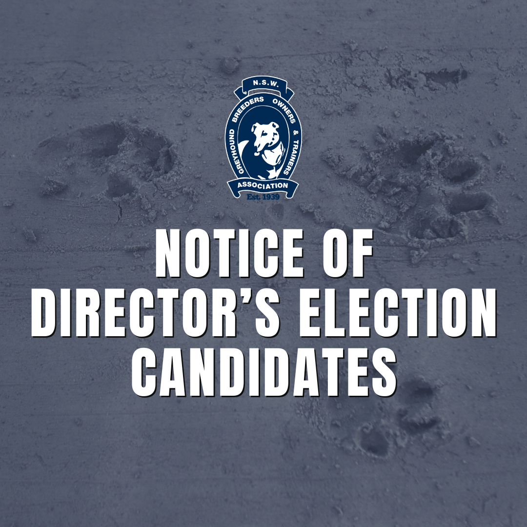 Social Tiles (Instagram Post) (2)