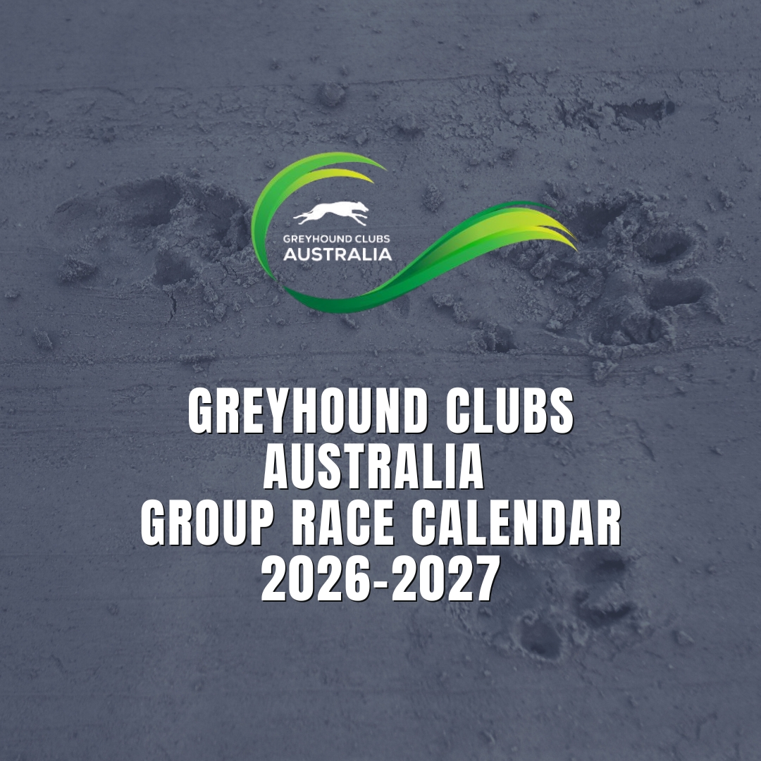 Social Tiles (Instagram Post)